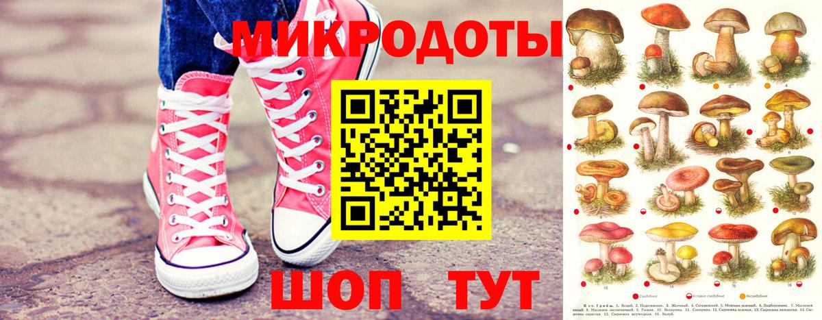 Железногорск  Псилоцибиновые грибы мицелий  Вход с VPN 