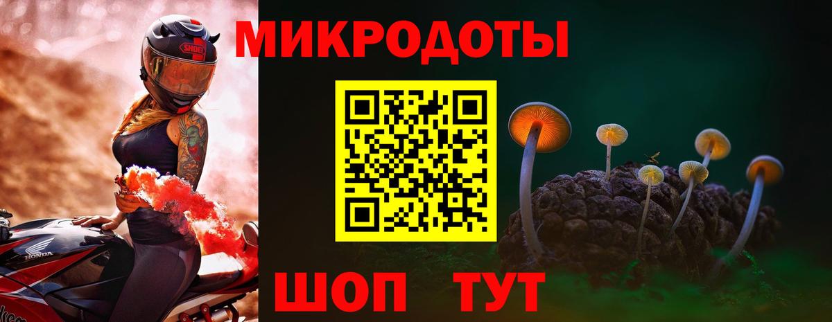 Псилоцибиновые грибы Psilocybine cubensis Железногорск